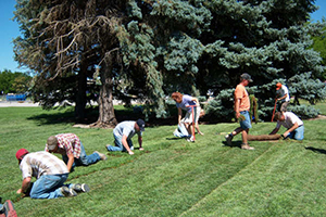measuring sod